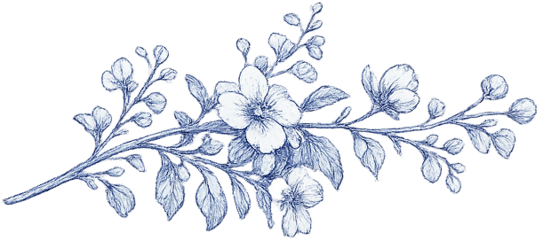 floral sprig decoration a drawing of a sprig of flowers
