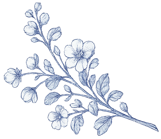 floral sprig decoration a sprig of flowers
